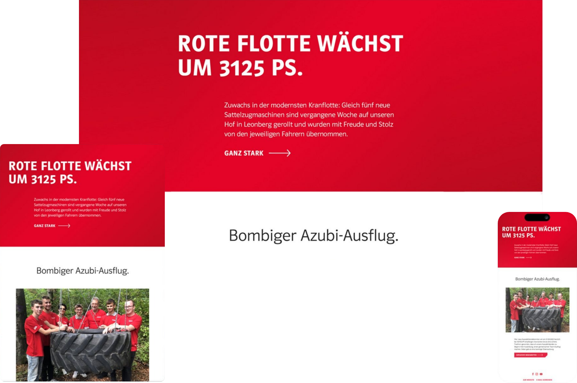 SAHARA Werbeagentur Referenz SCHOLPP